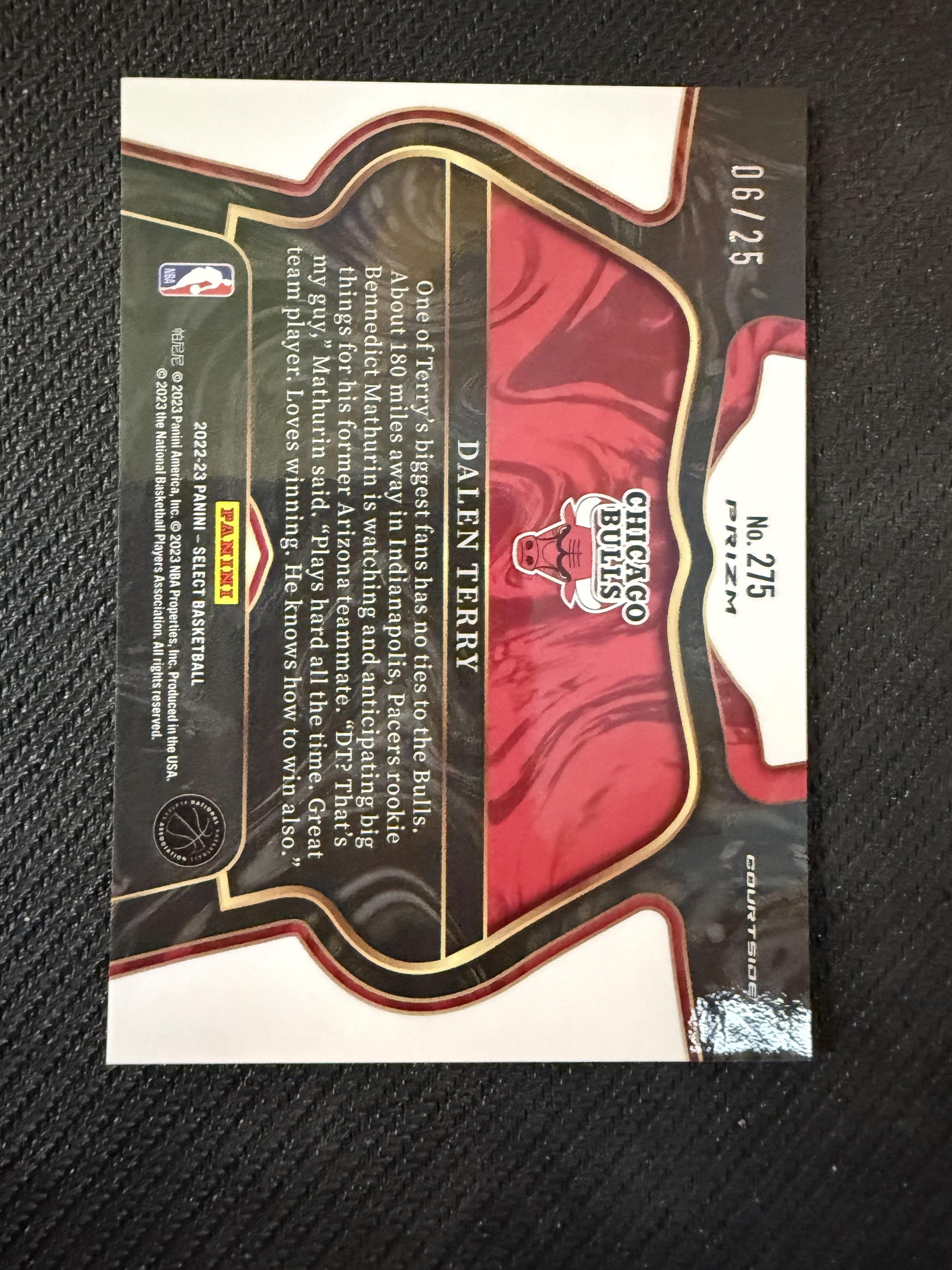 #275 Dalen Terry 2022-23 Panini Select SN,RC Rookie #/25 Chicago Bulls Tie-Dye