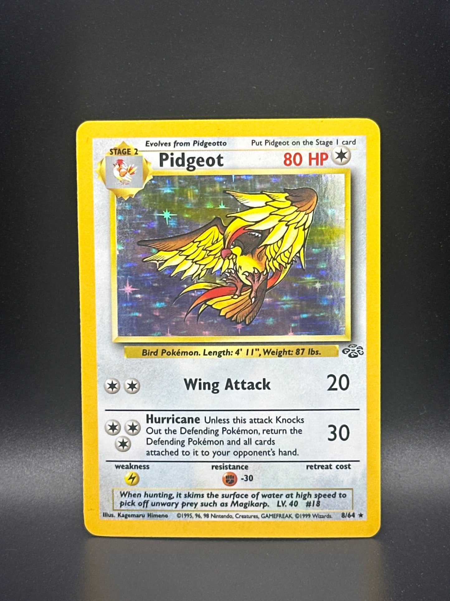 #08/64 Pidgeot (9) Jungle