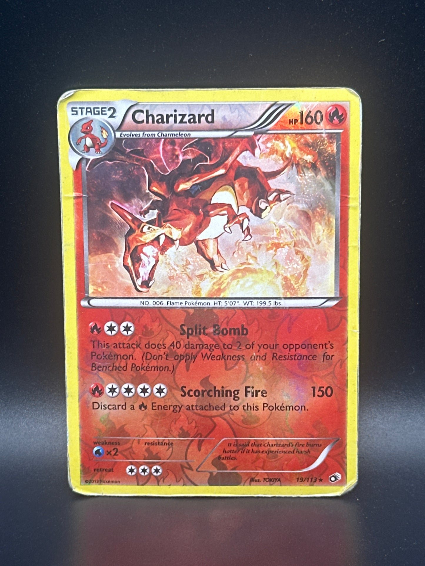 019/113 Charizard