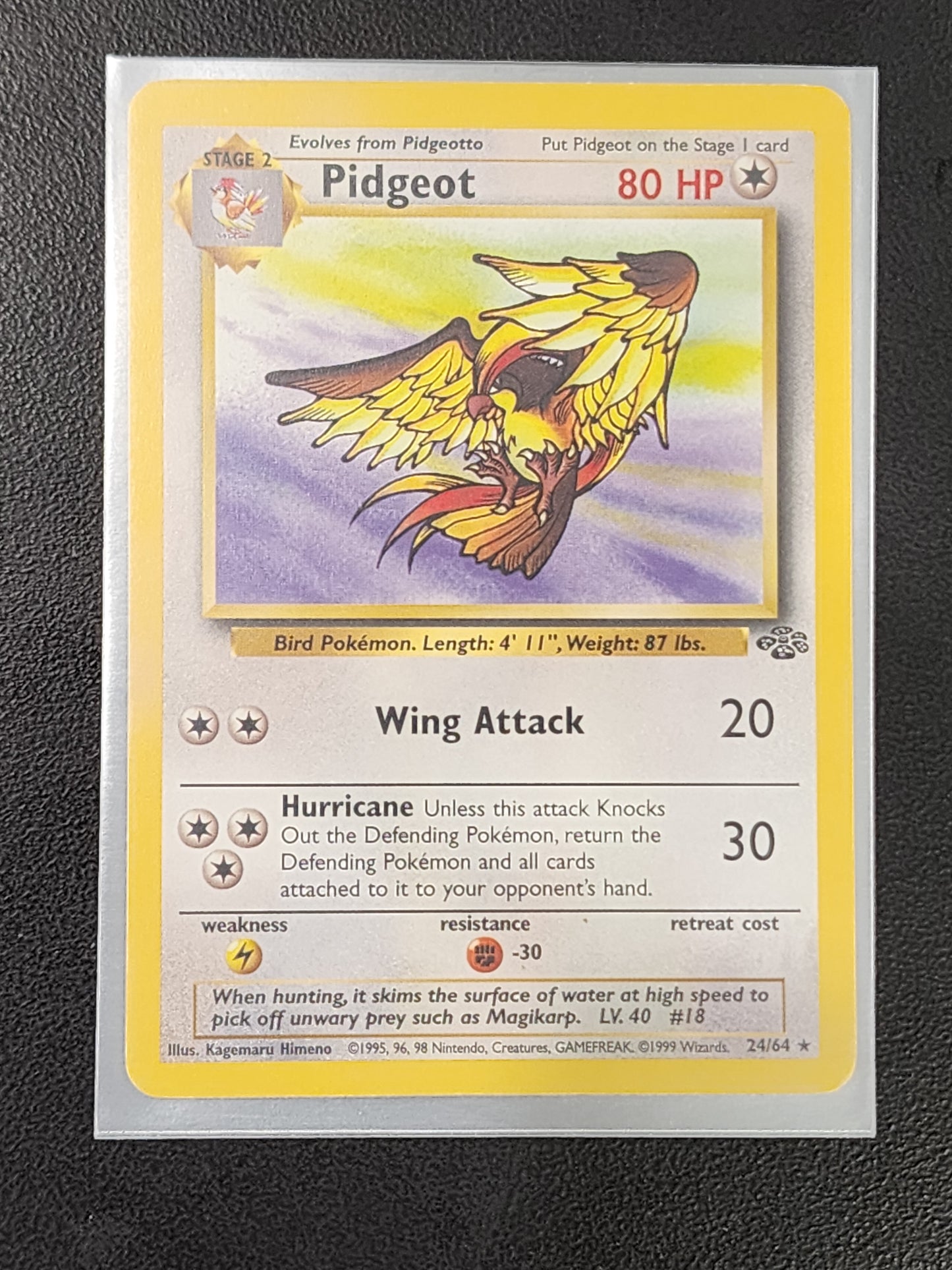 #24/64 Pidgeot (24) Jungle