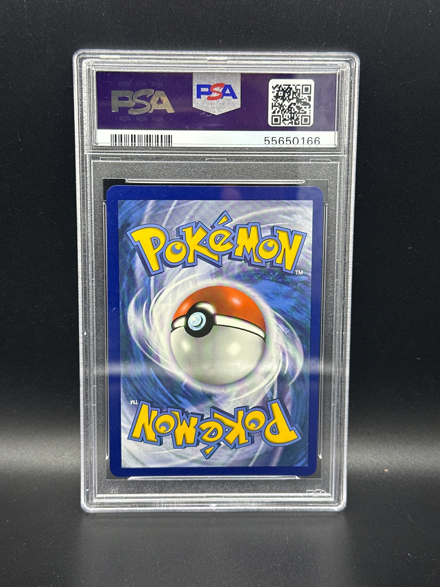 161/162 Brigette XY BreakThrough PSA 10