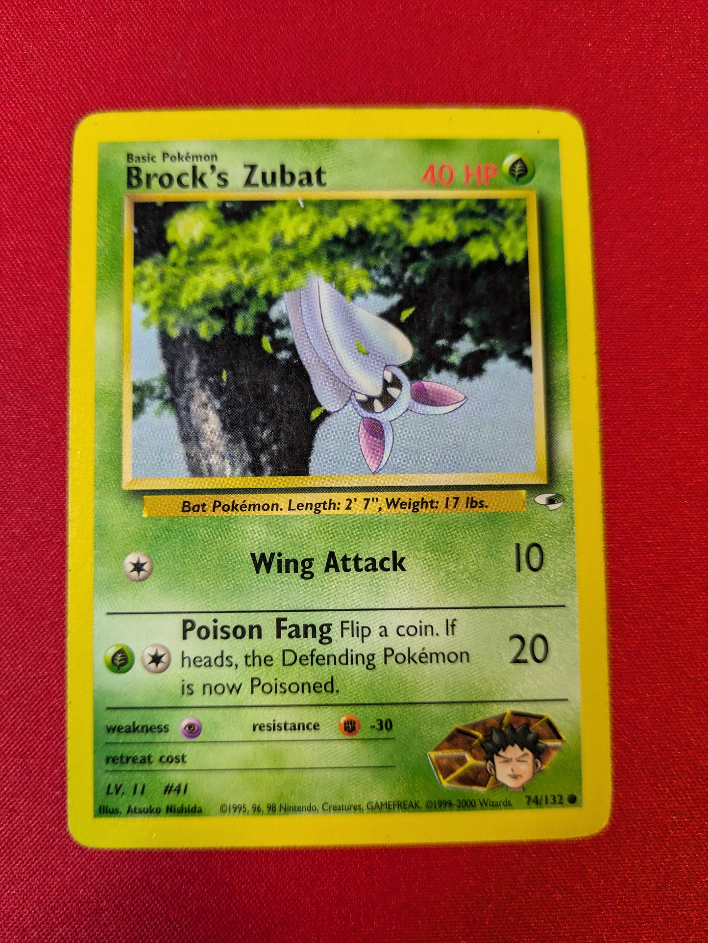 Brock's Zubat #74
