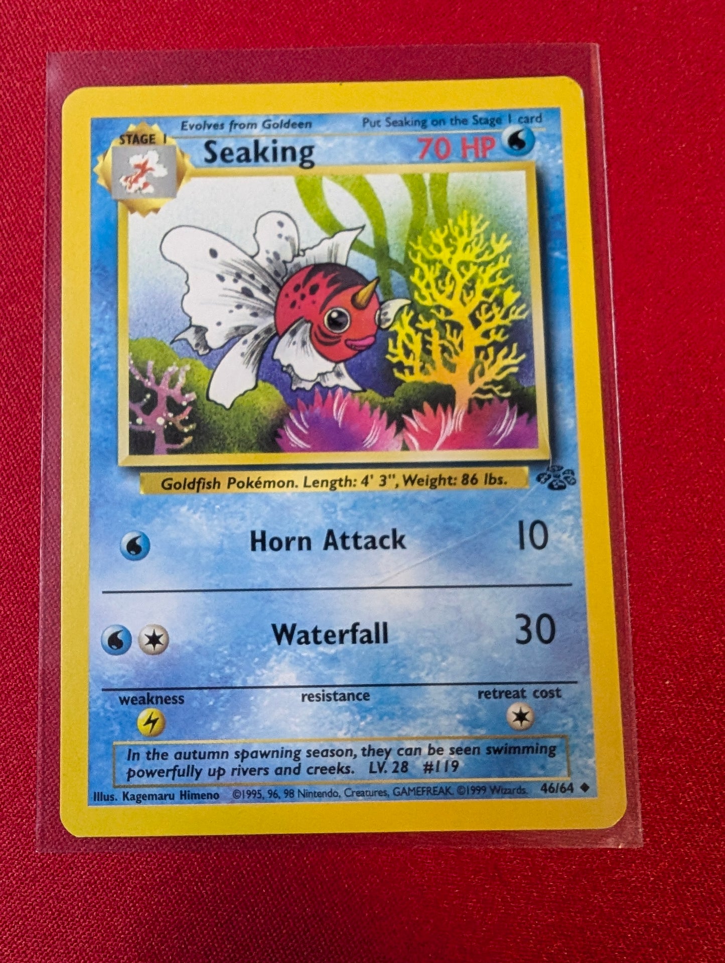 Seaking #46