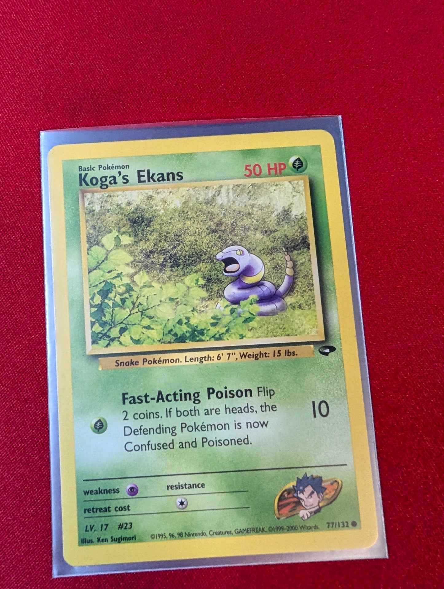Koga's Ekans #77