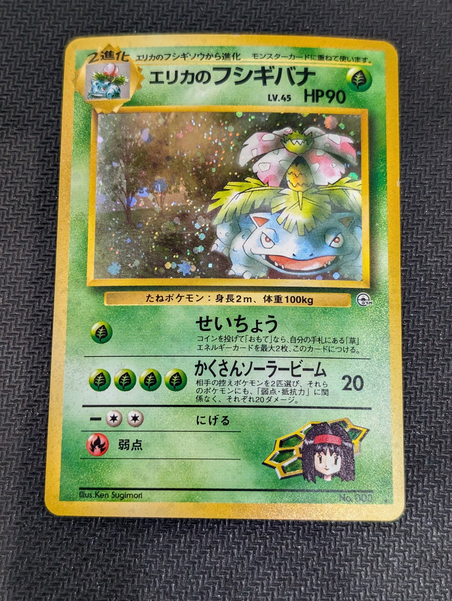 Erika's Venusaur #3
