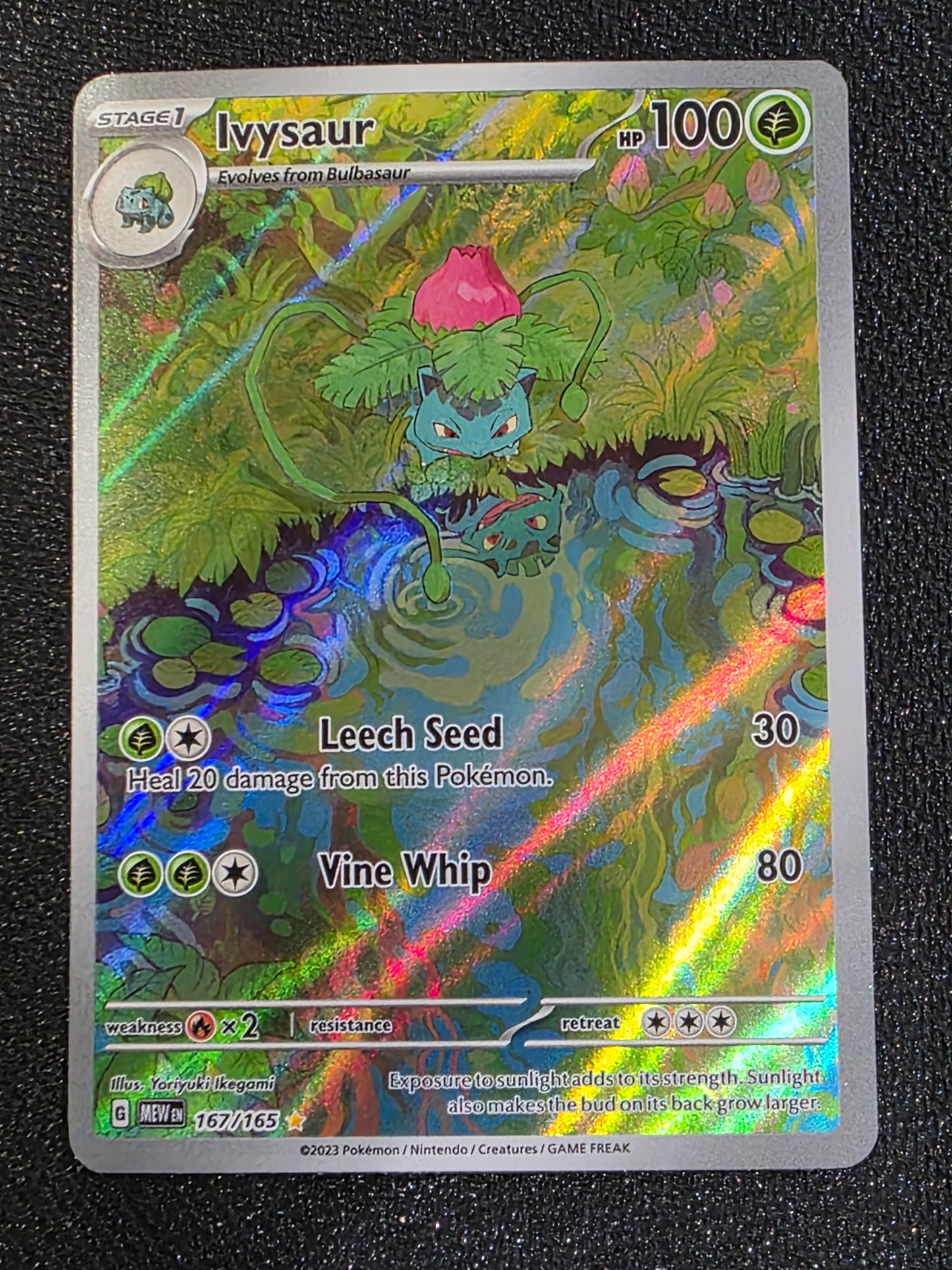 167/165 Ivysaur