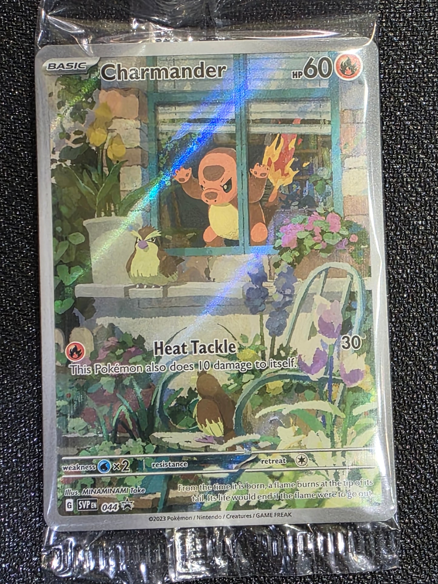 Charmander #44 (Sealed)*