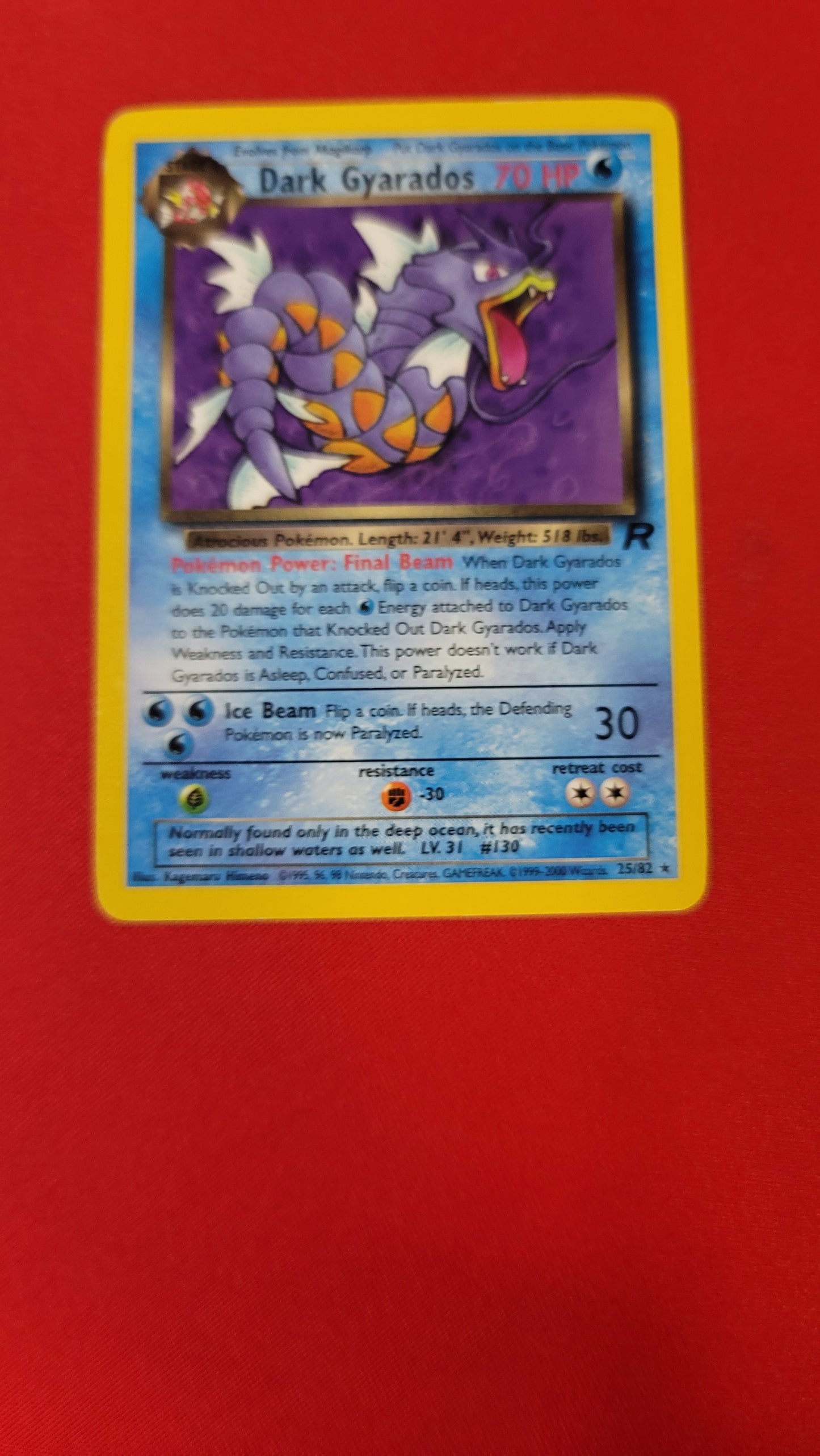 Dark Gyarados #25