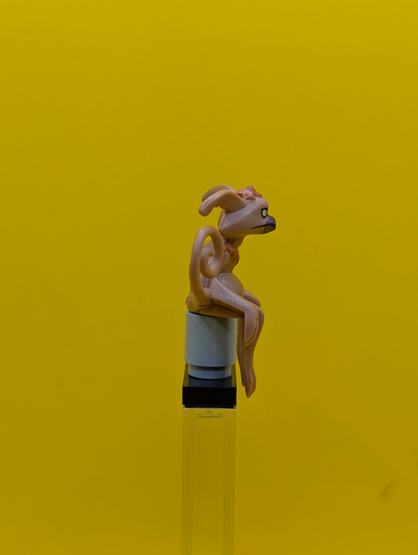Salacious B. Crumb sw1387 Yellow Eyes with White Glints (6488557) Star Wars Lego Minifigure