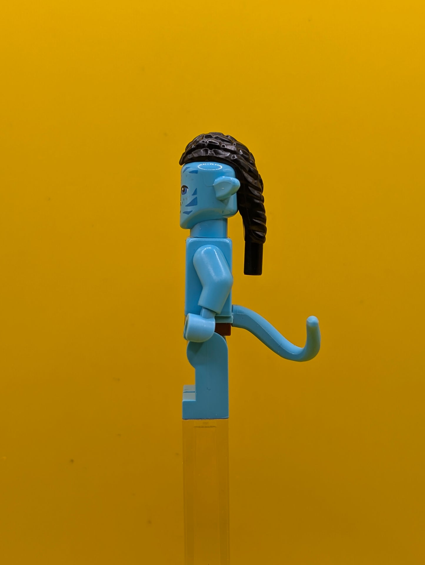 Ao'nung avt021 Avatar Lego Minifigure