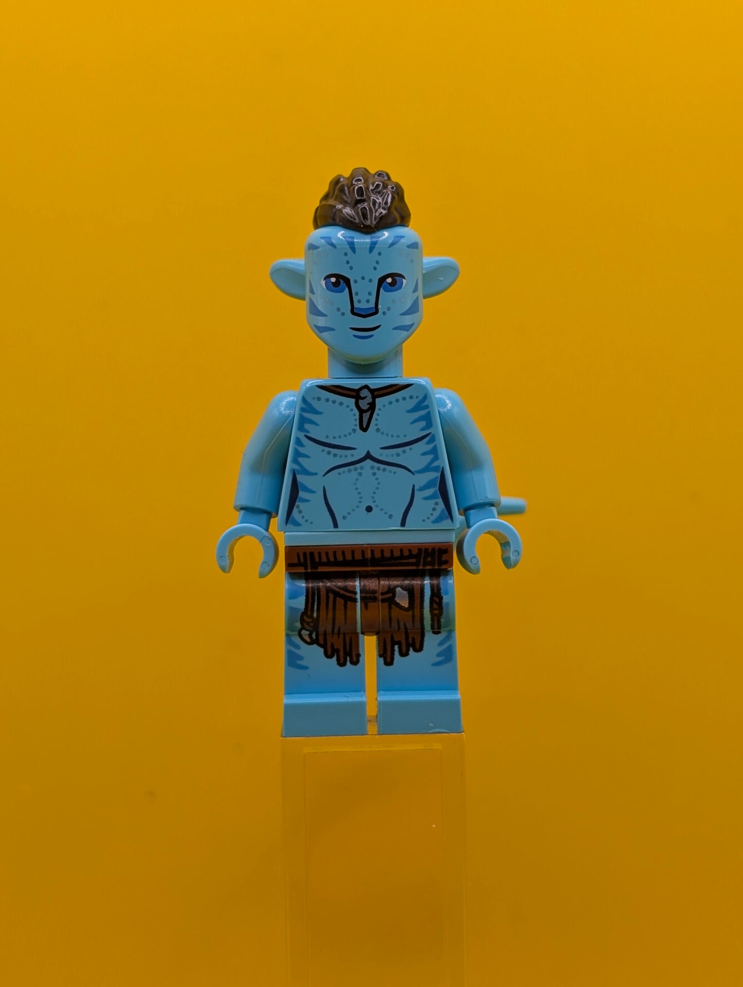 Ao'nung avt021 Avatar Lego Minifigure