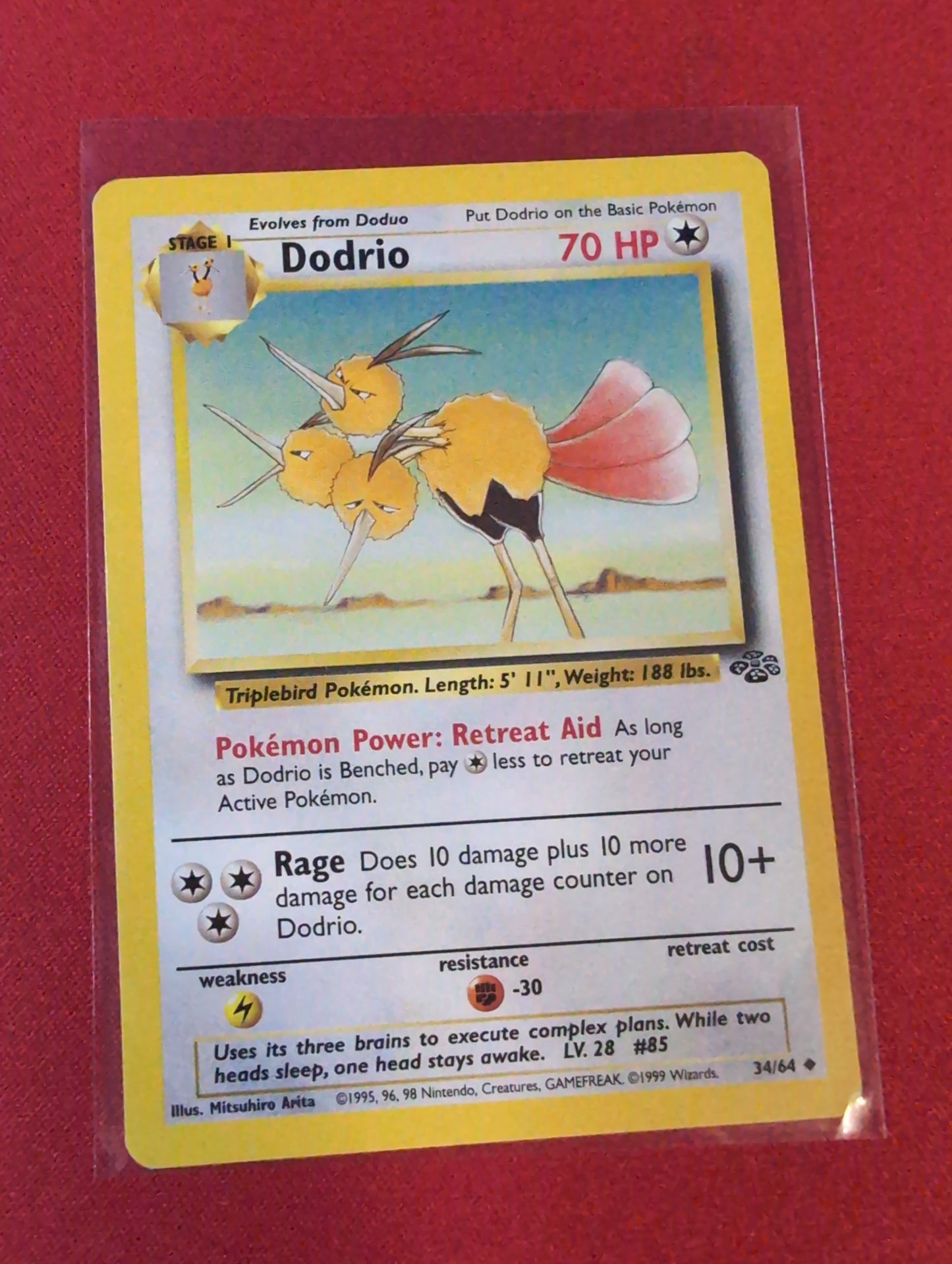 Dodrio #34