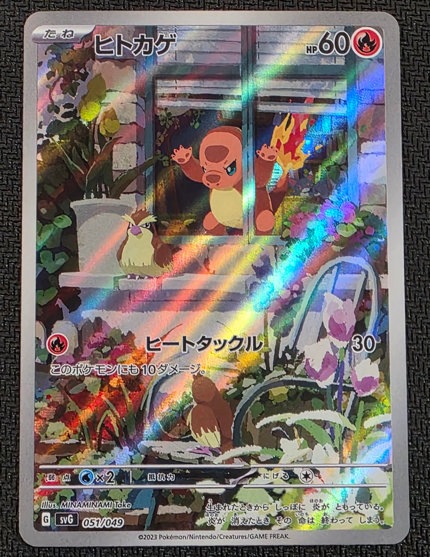#051/049 Charmander