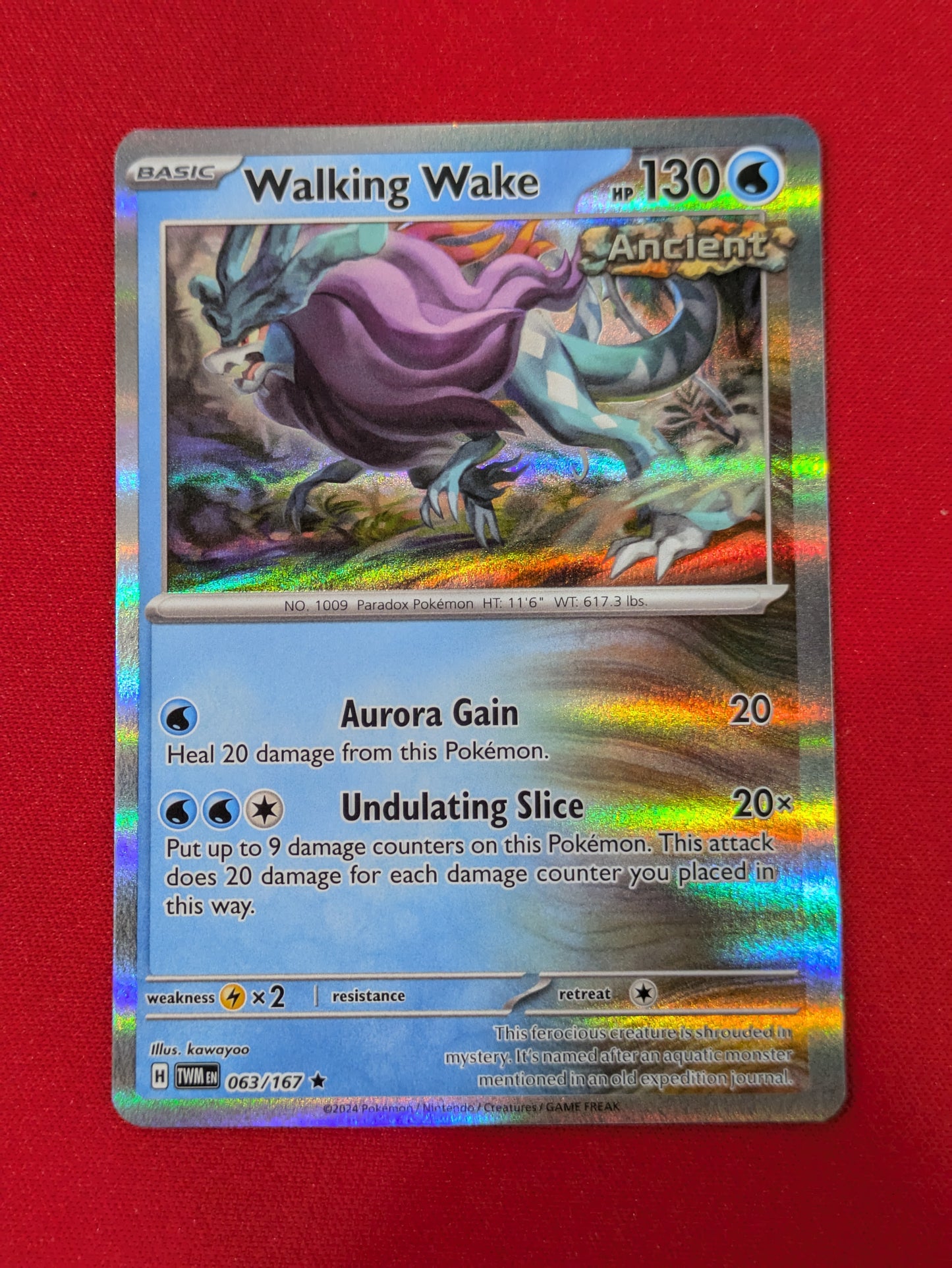 Walking Wake #63