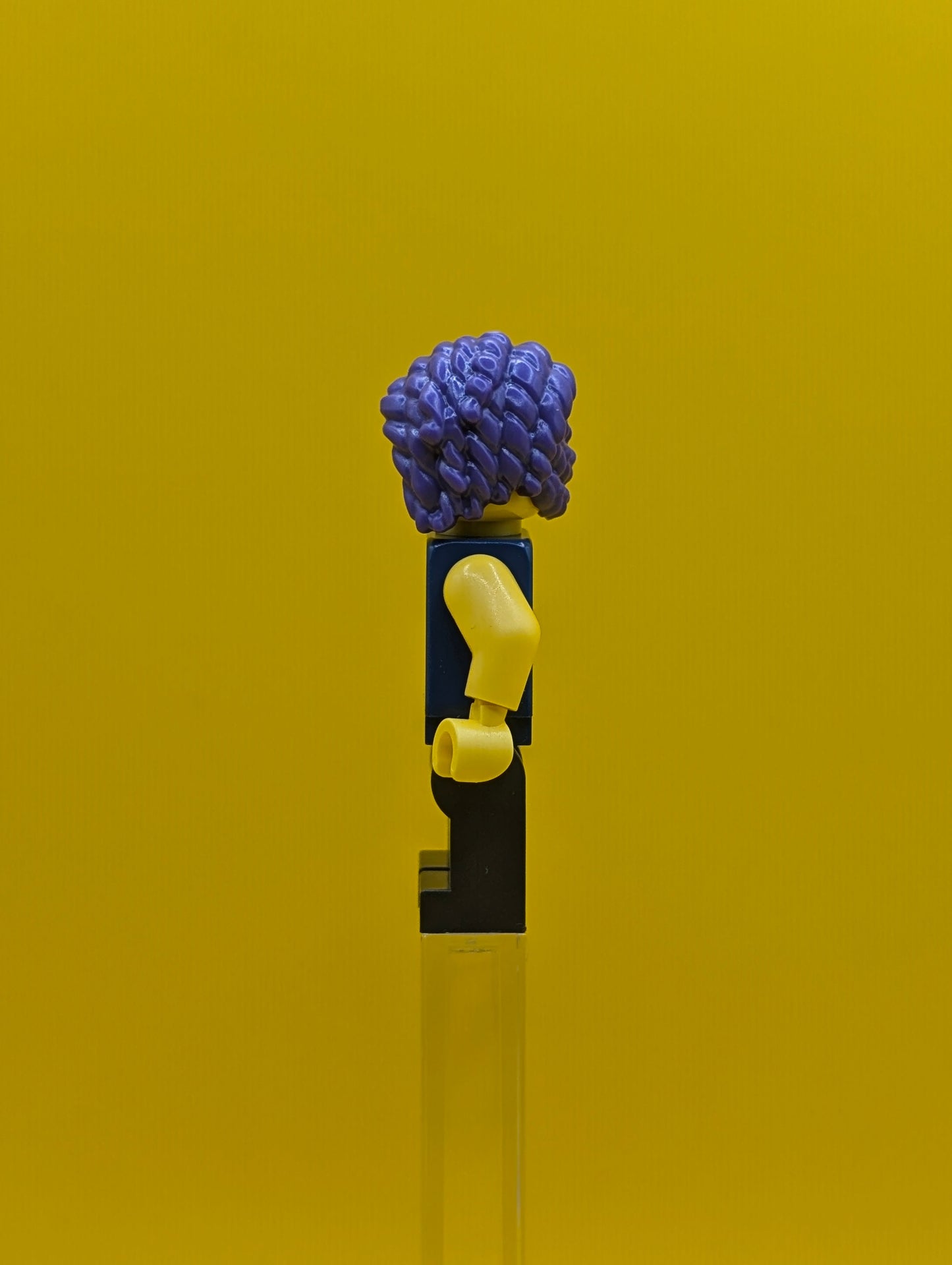 Zoey drm029 dreamzzz Minifigure Lego