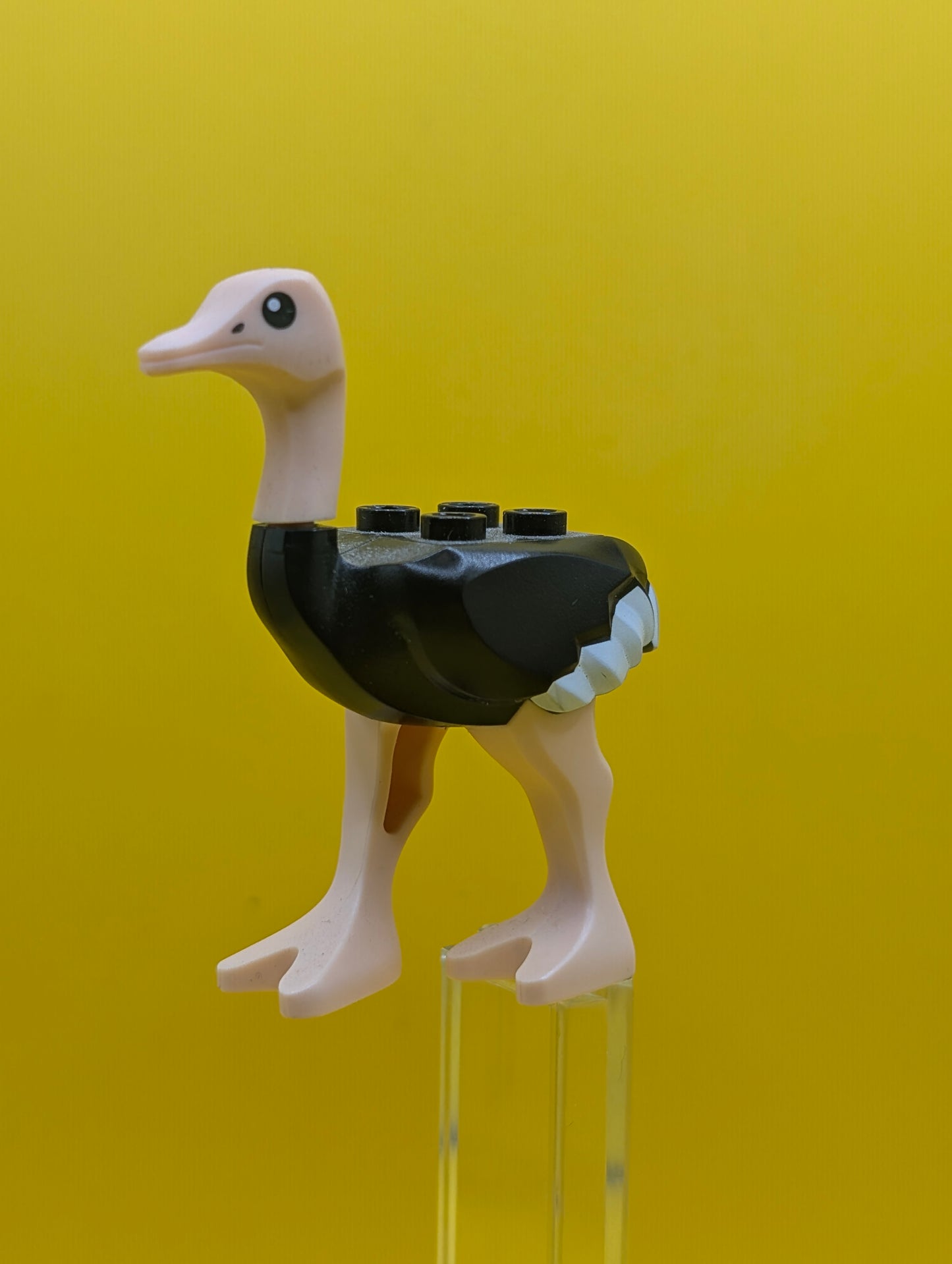 Ostrich 24689pb01c01 with Light Nougat Legs and Head, White Tail and Wingtips Pattern Prince of Persia Lego Minifigure