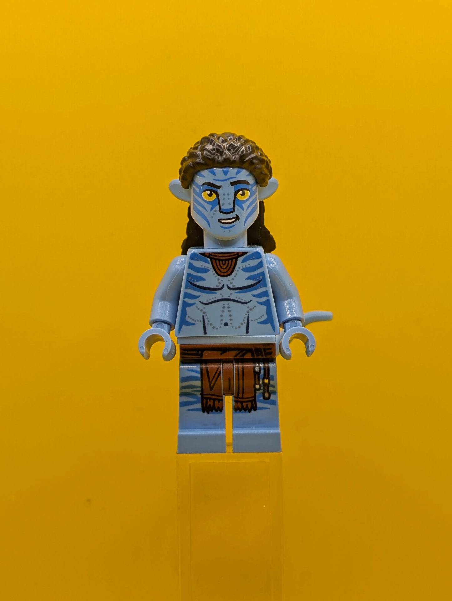 Neteyam avt019 Avatar Lego Minifigure