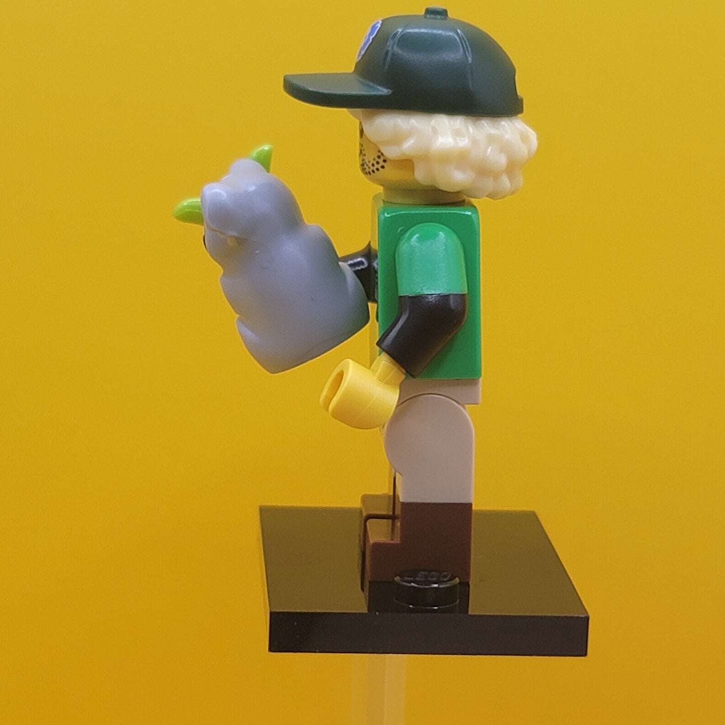 Conservationist col24-8 CMF Minifigure Lego Series 24