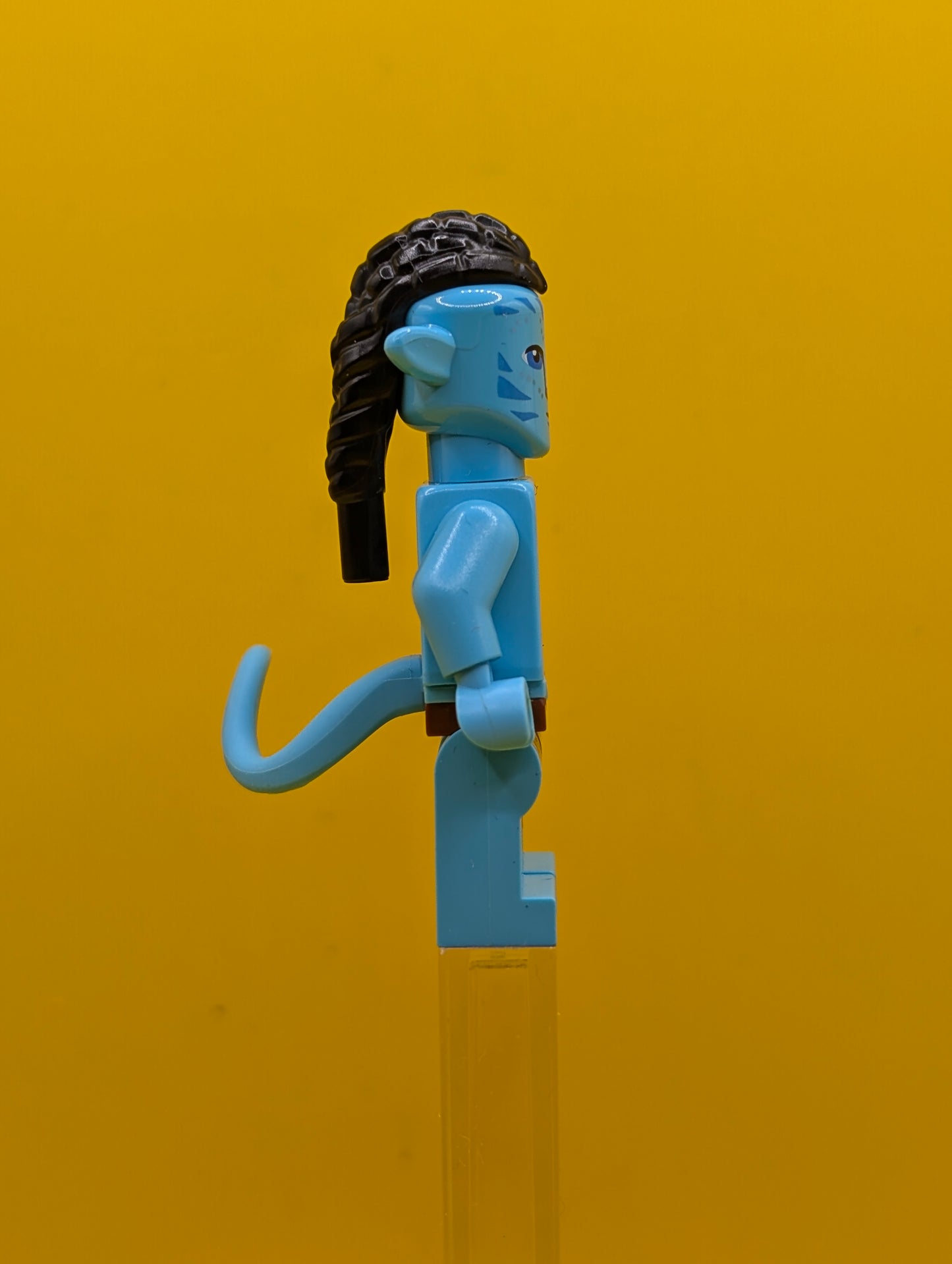 Ao'nung avt021 Avatar Lego Minifigure