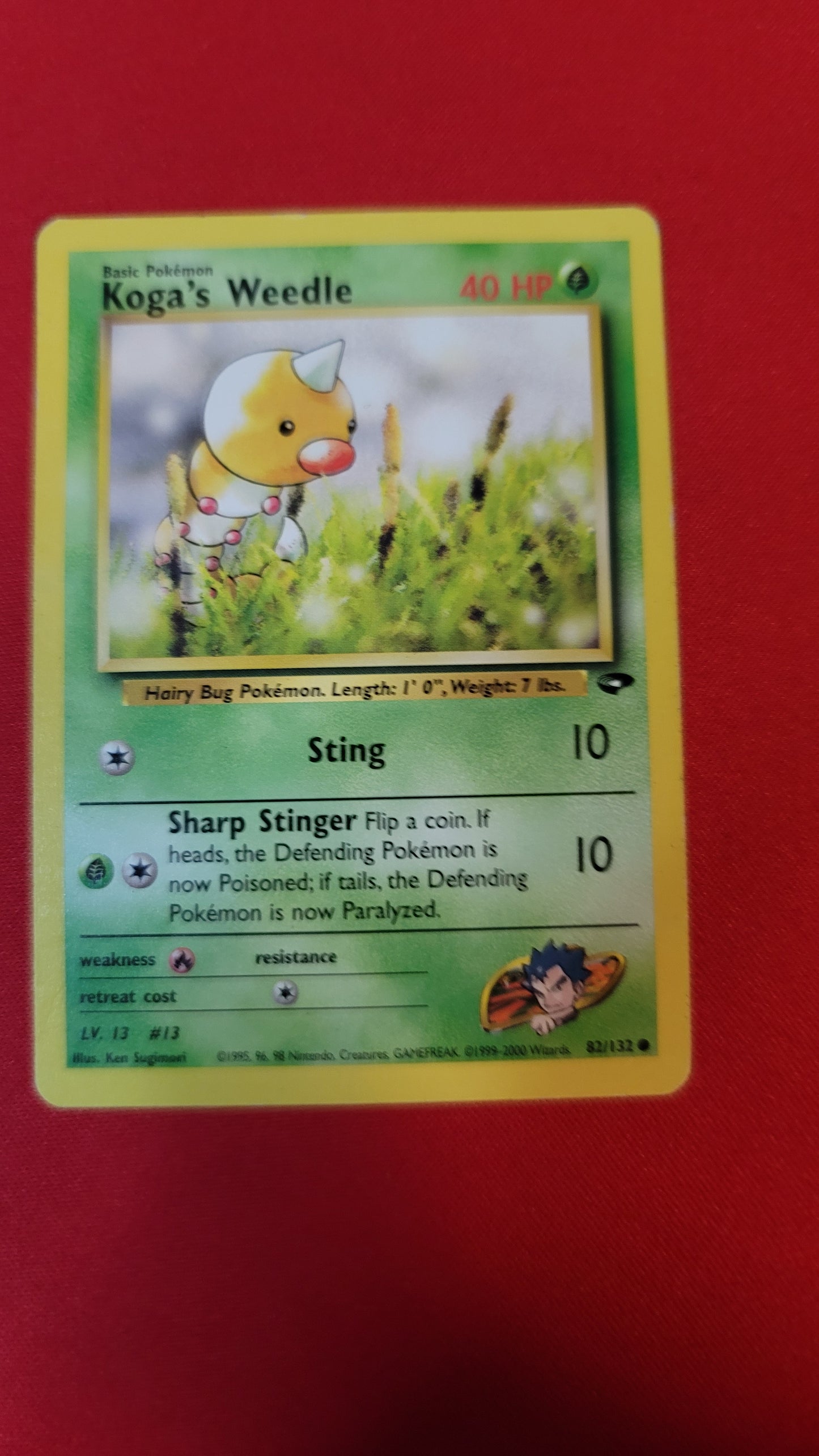 Koga's Weedle #82