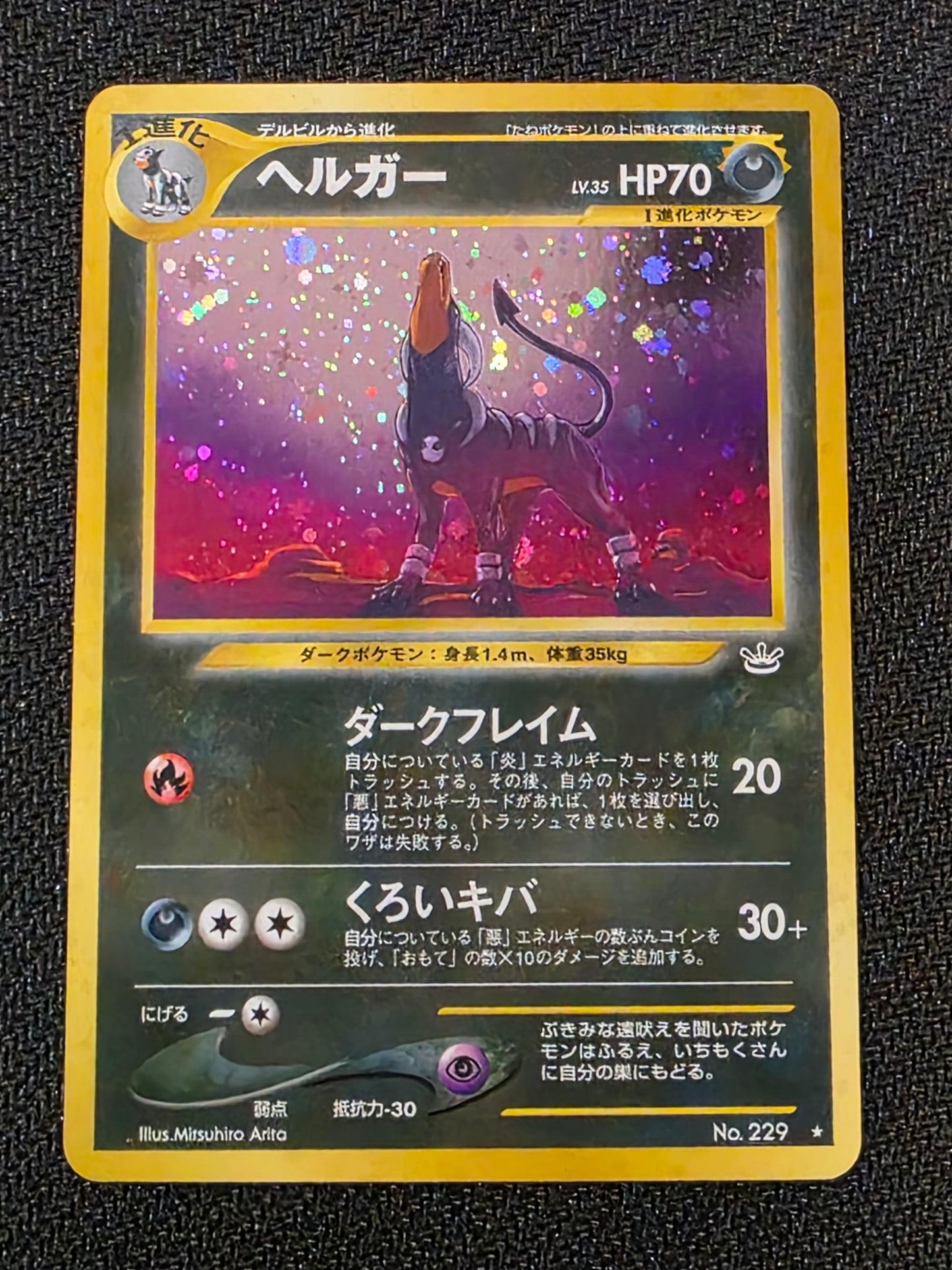 #229 Houndoom (Japanese)