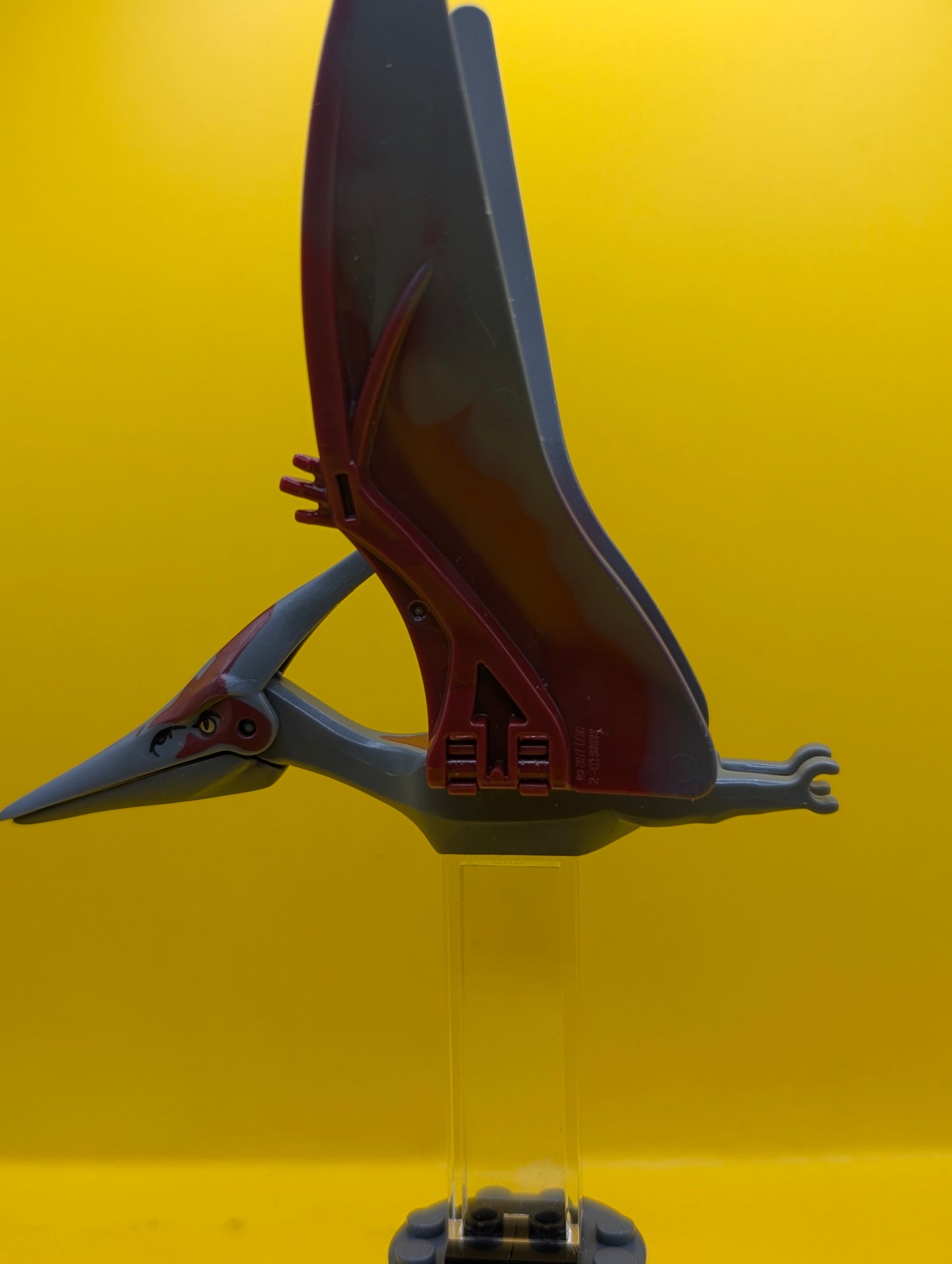 Dinosaur Pteranodon ptera04 with 4 Studs with Dark Red Back and Large Curved Nostrils Jurassic World Lego Minifigure