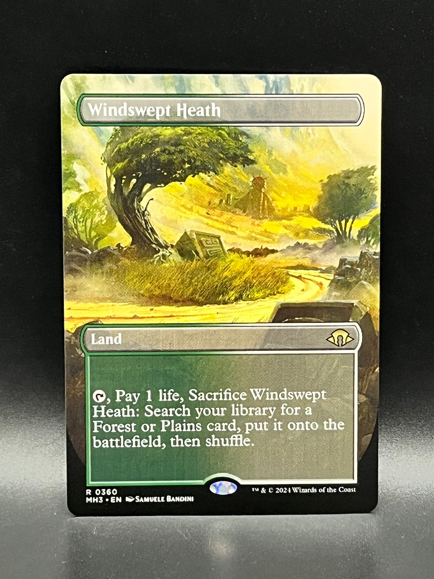 Windswept Heath #360