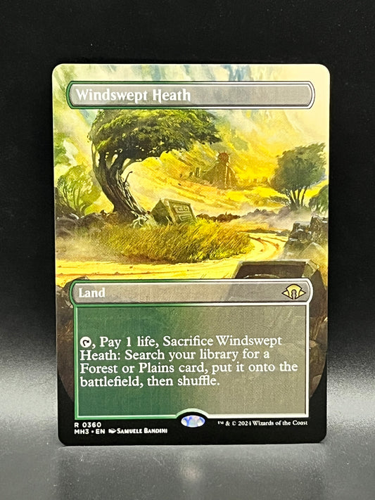 Windswept Heath #360