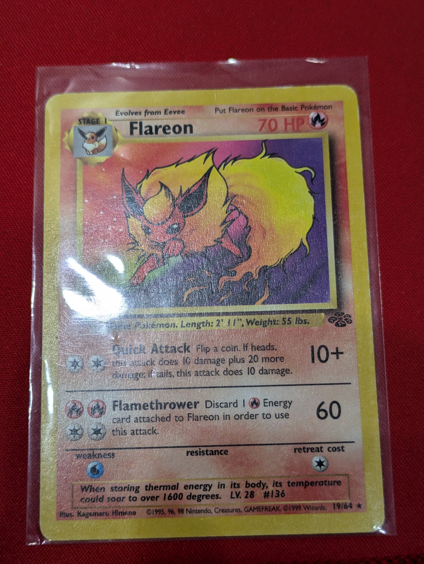 #19/64 Flareon (19) Jungle