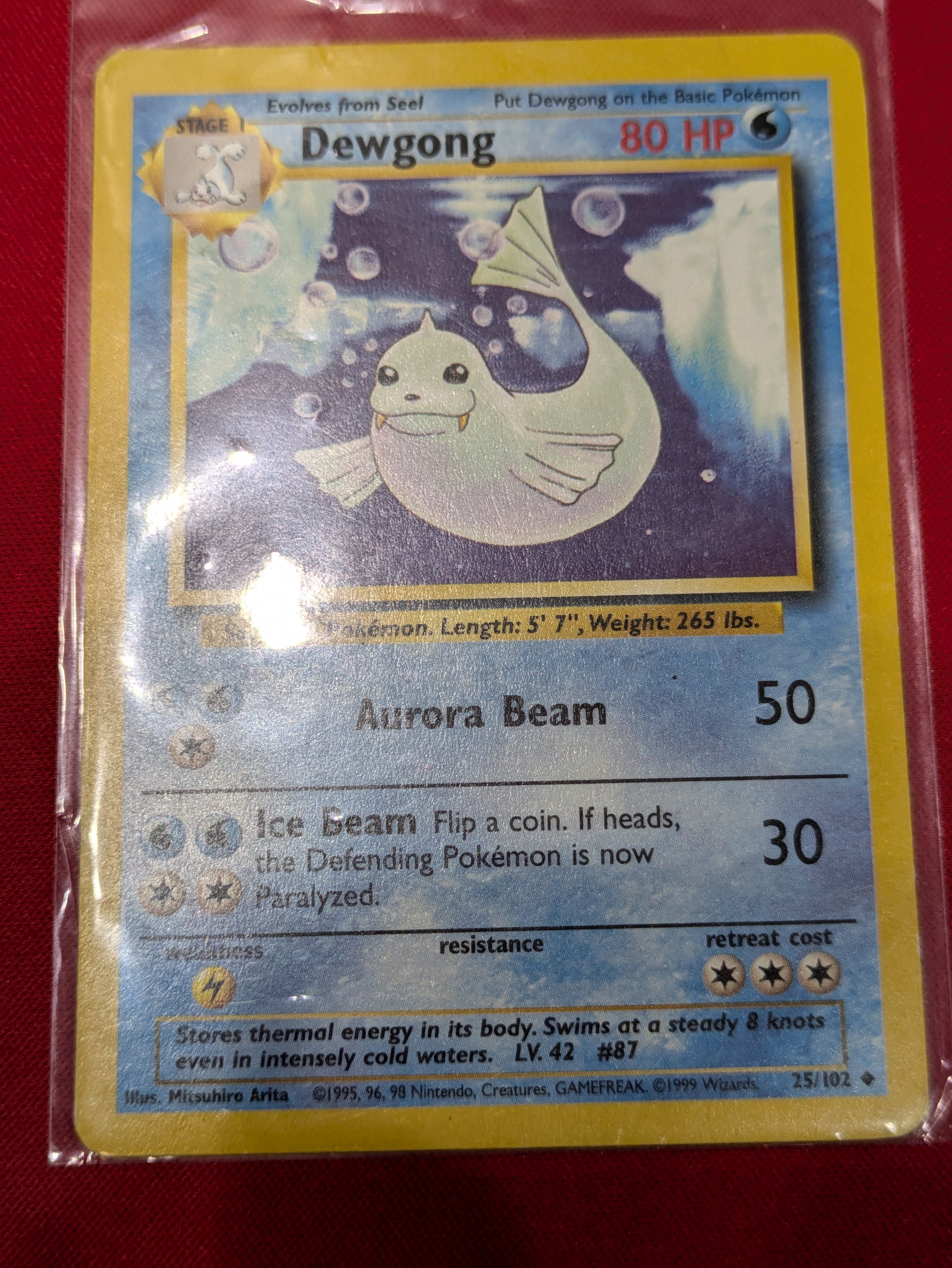 #025/102 Dewgong Base Set