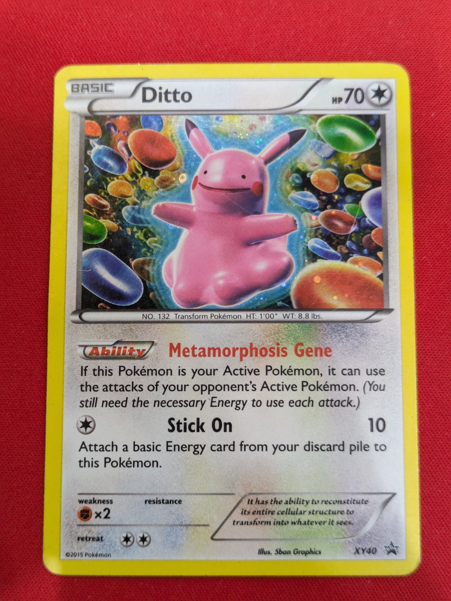 XY Promos #XY40 Ditto