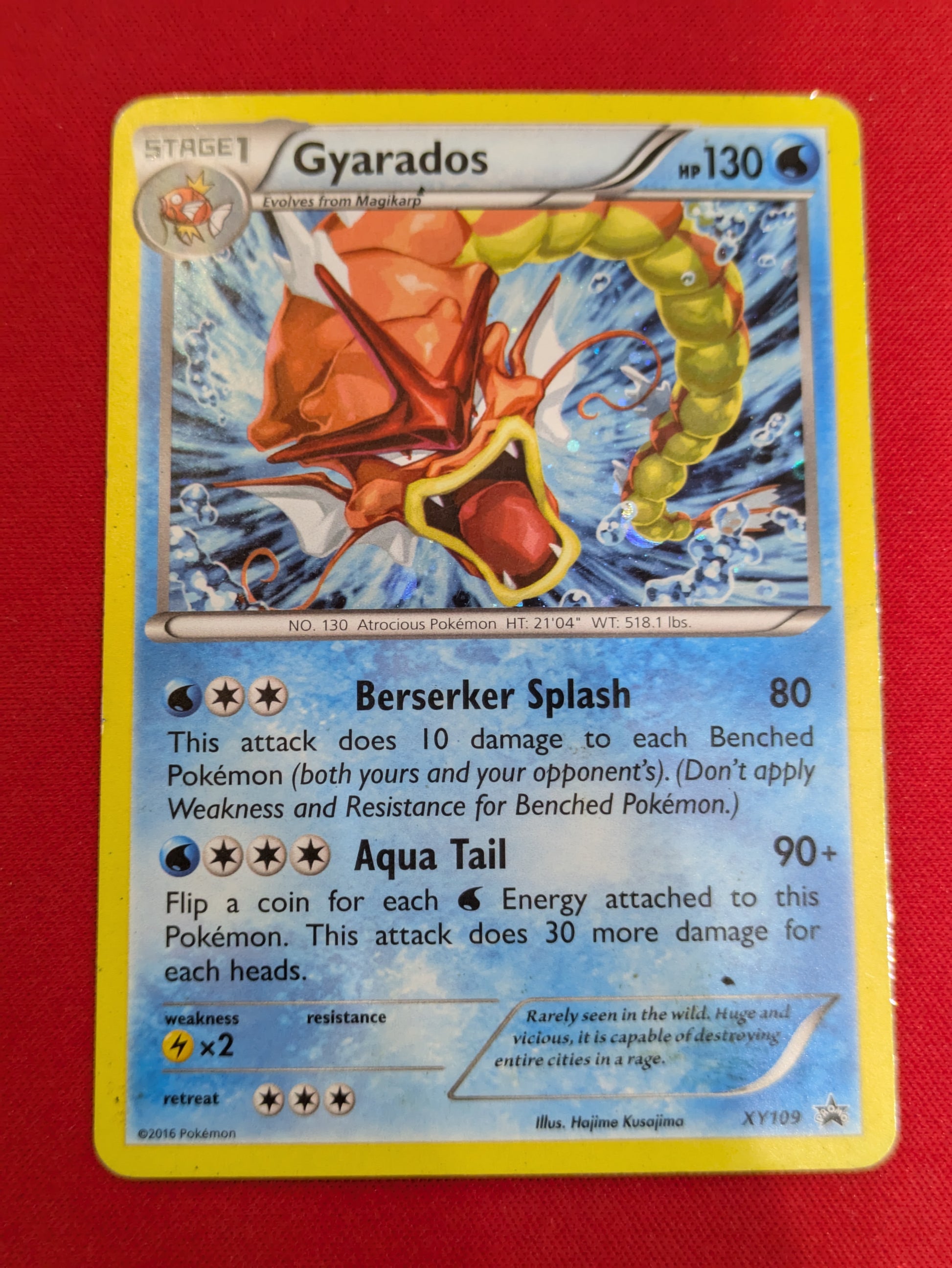 #XY109 Gyarados XY Promos Promo nonsport