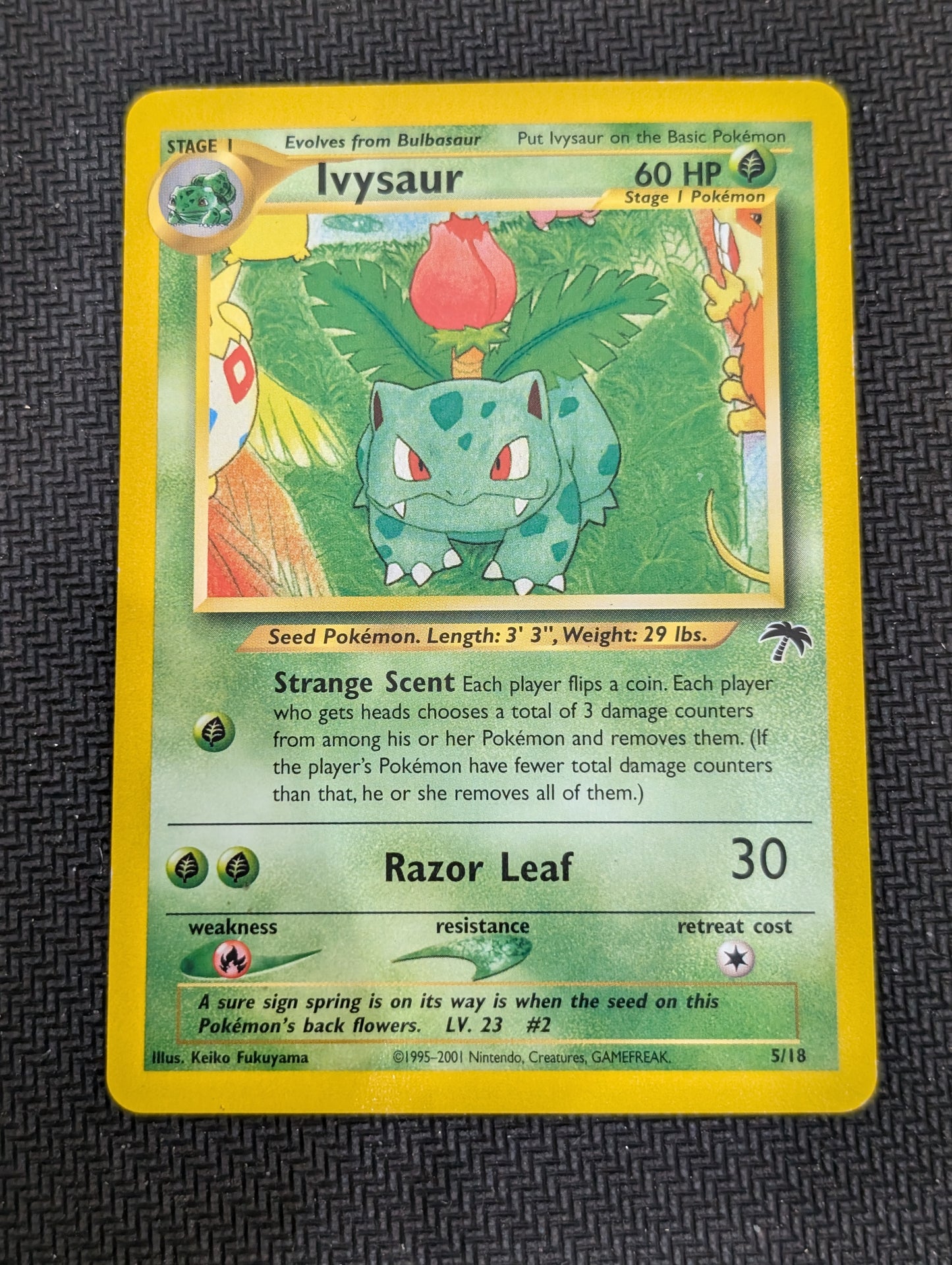 #05/18 Ivysaur Southern Islands