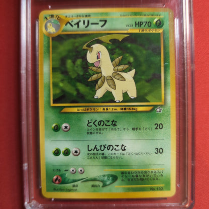 Bayleef #153