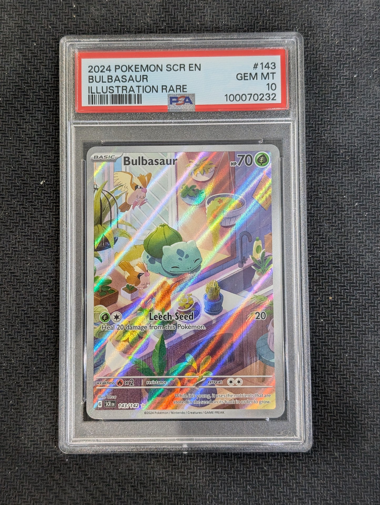 #143/142 Bulbasaur SV07: Stellar Crown PSA 10