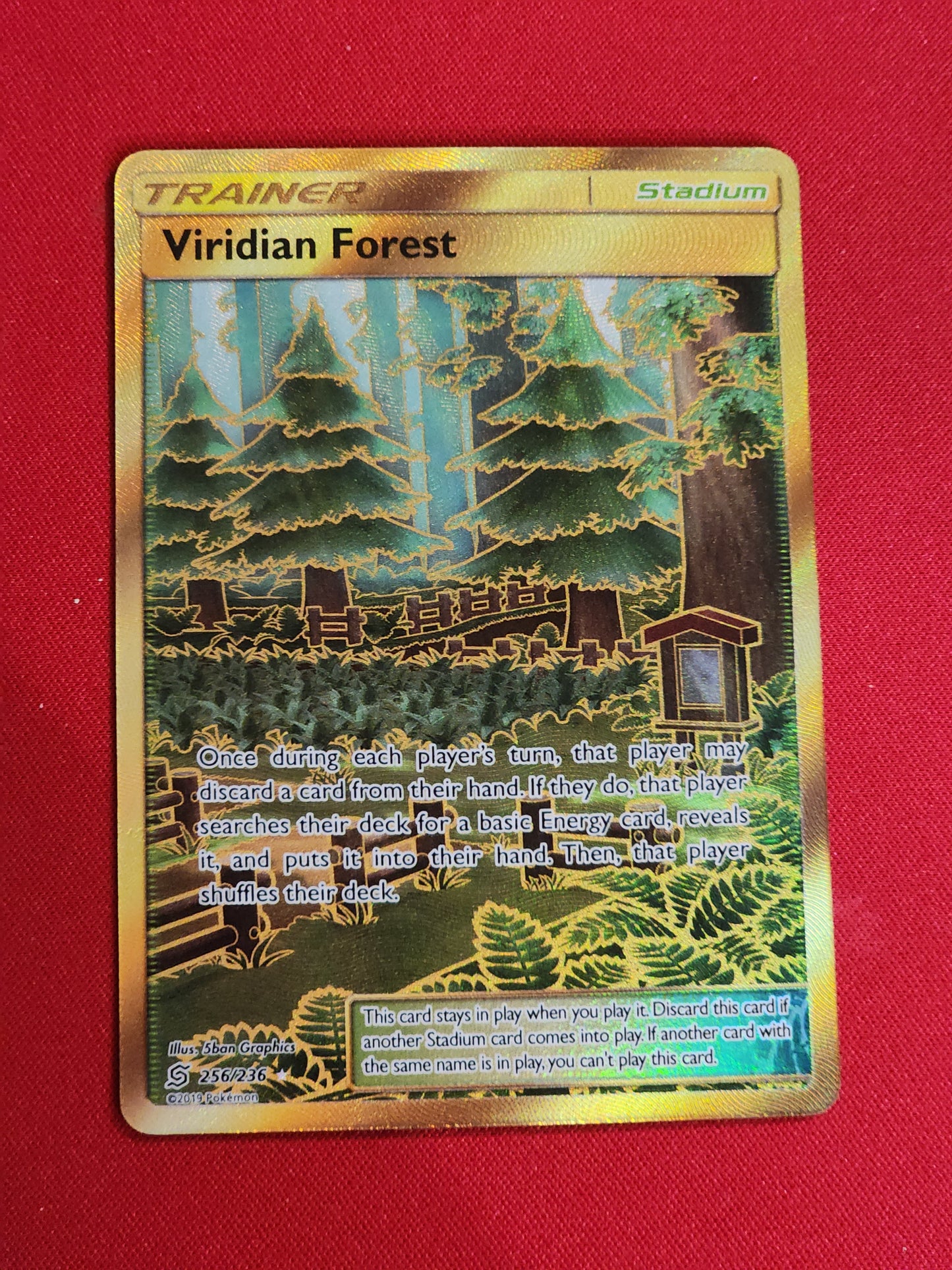 Viridian Forest #256