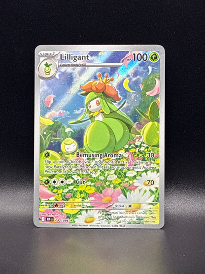 Lilligant (Illustration Rare) #092/086 - Black Bolt