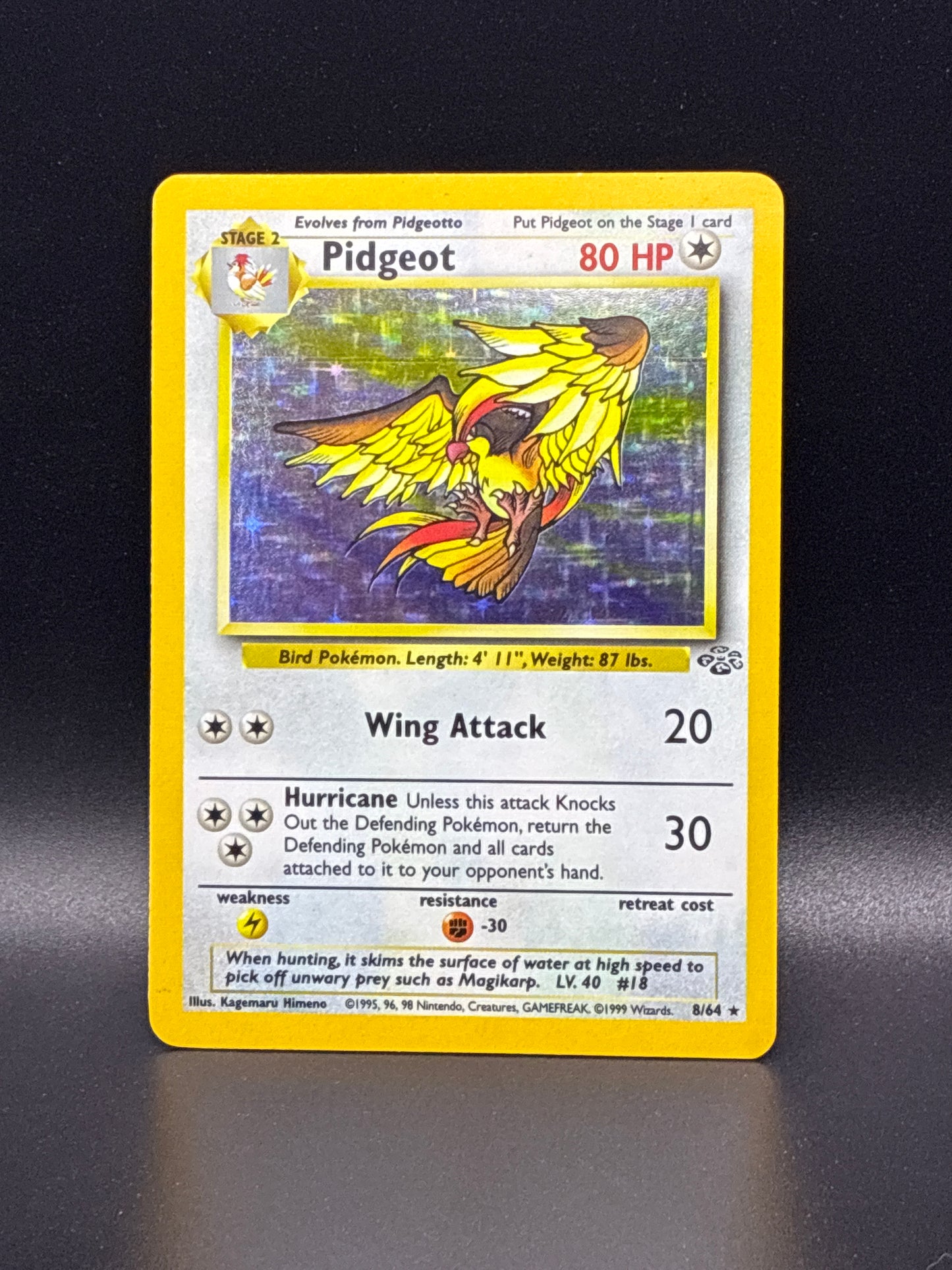 Pidgeot #8/64 - Jungle Unlimited