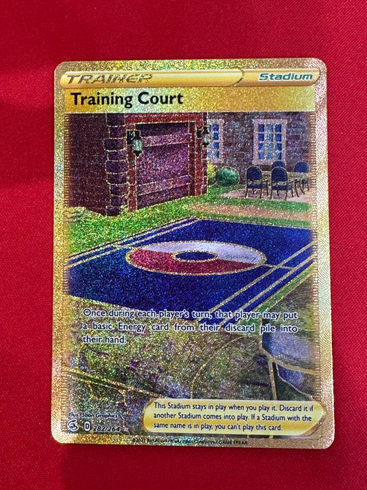 Training Court #282