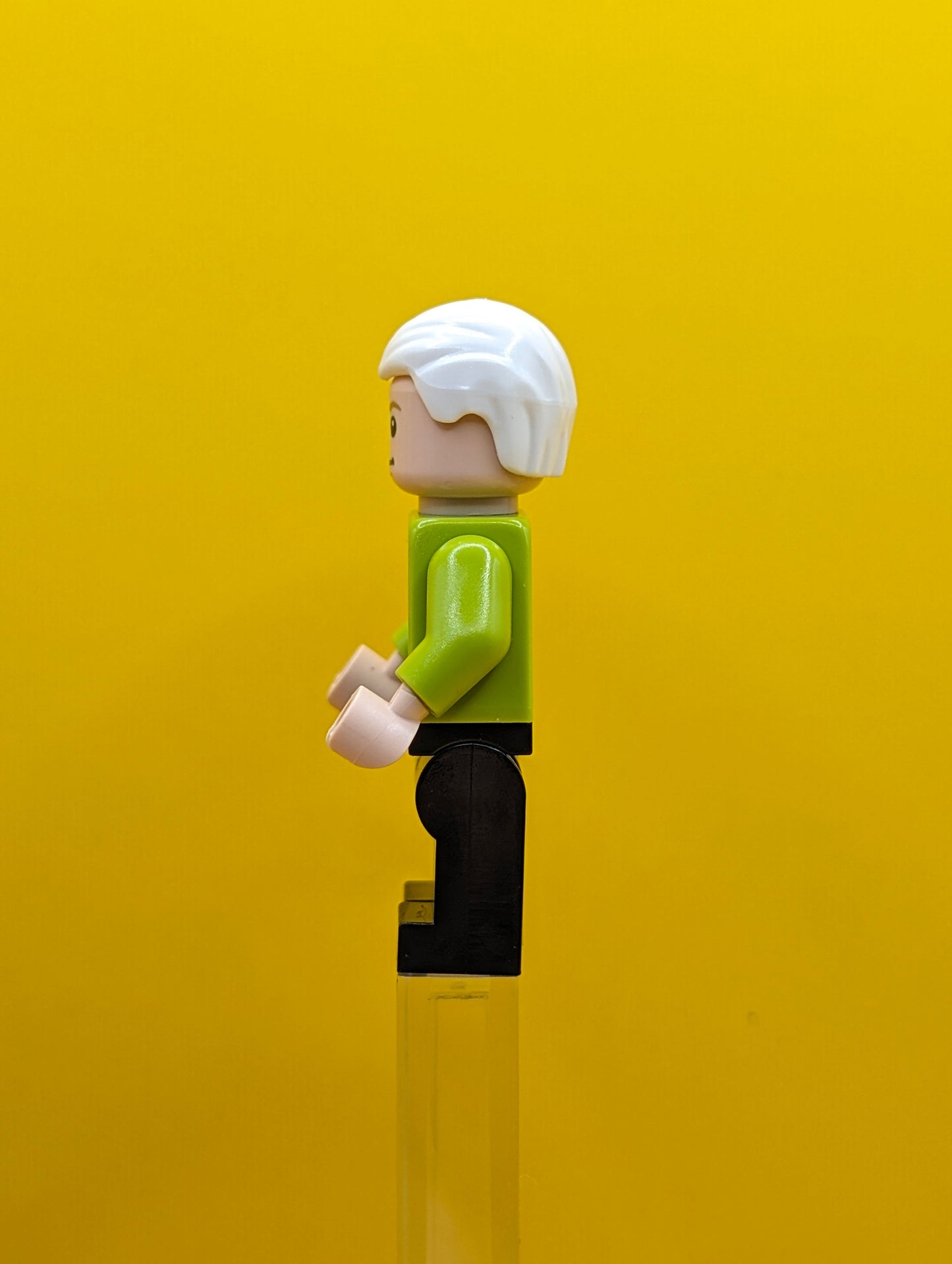 Gunther idea062 Friends Minifigure Lego