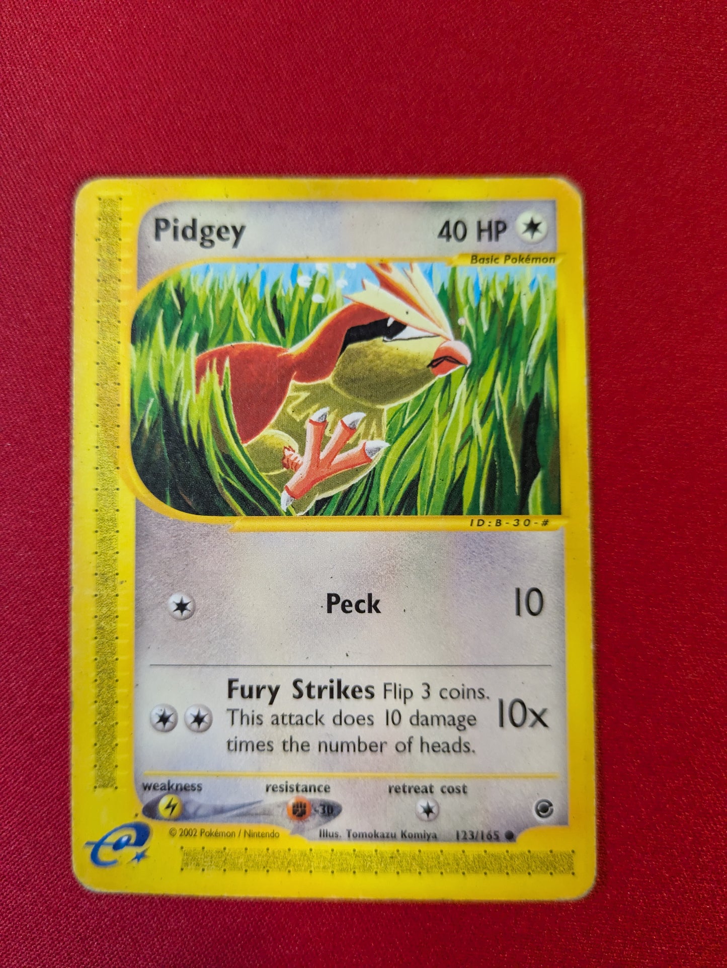 Pidgey #123