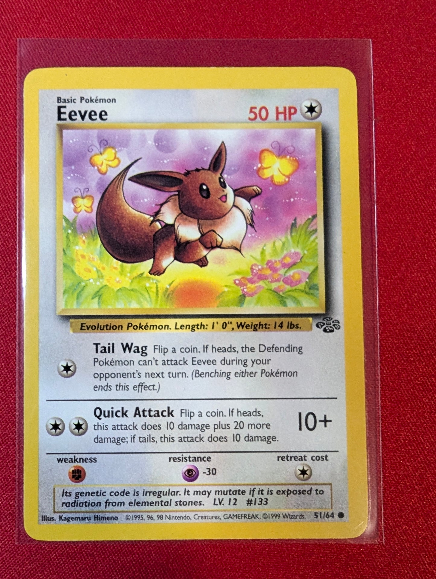 #51/64 Eevee Jungle