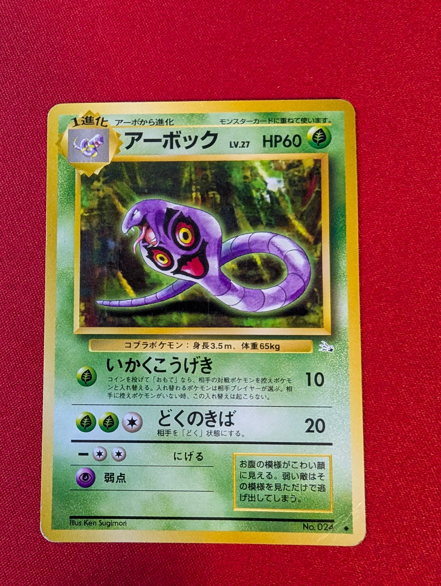 Arbok #24