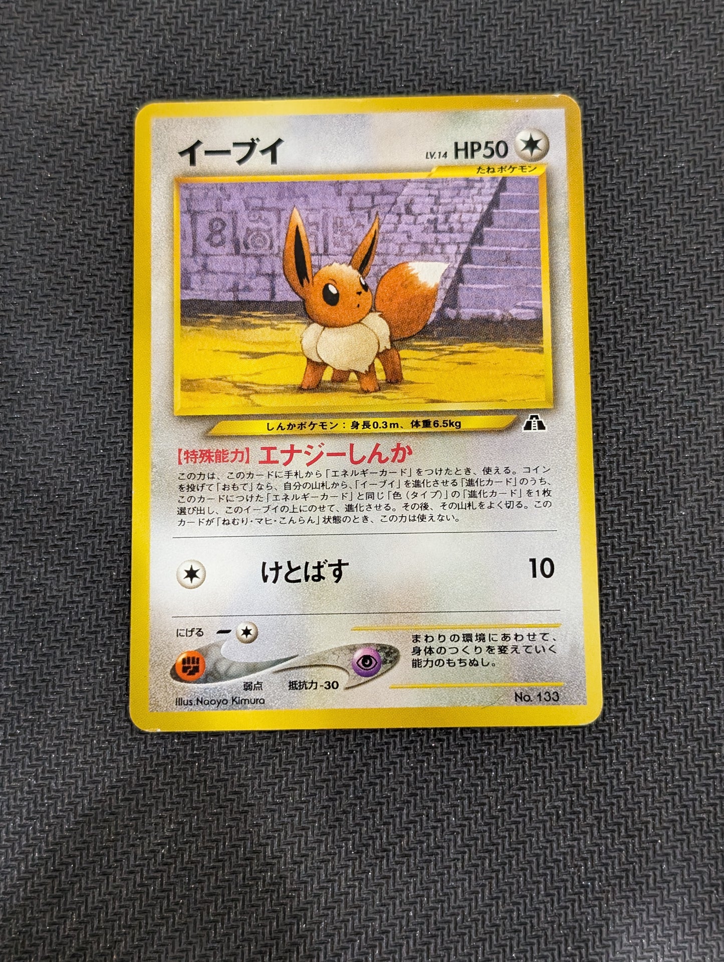 #133 Eevee (Jap) Crossing the ruins