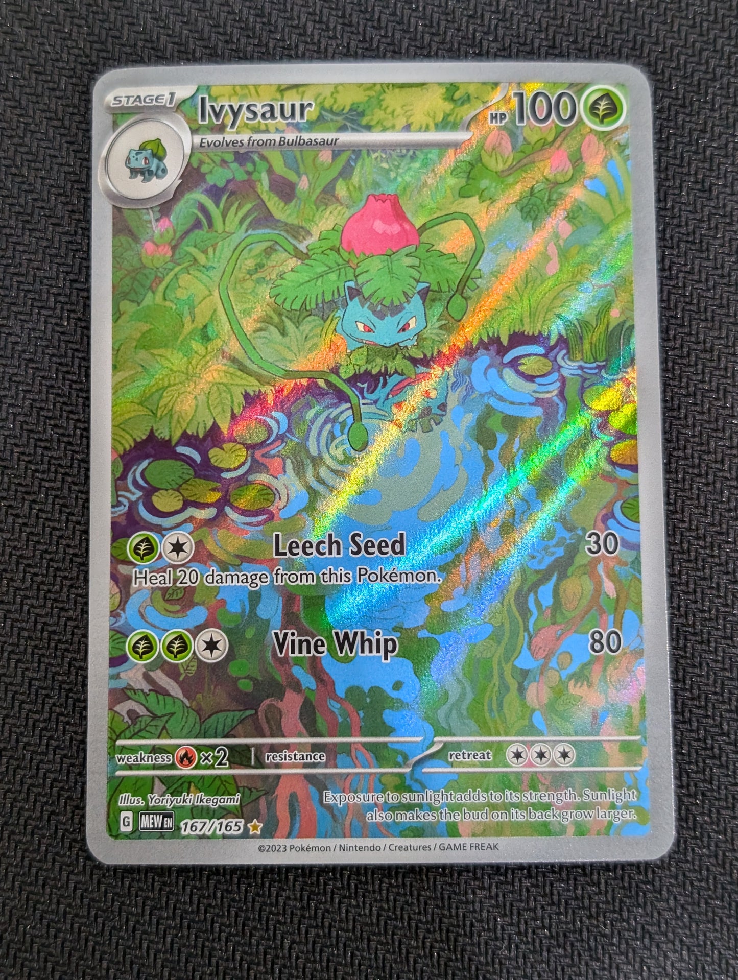 167/165 Ivysaur