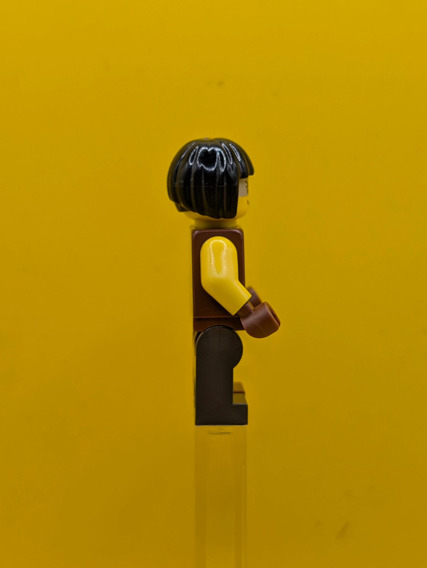 Sharkira tlm170 Hair The Lego Movie Lego Minifigure