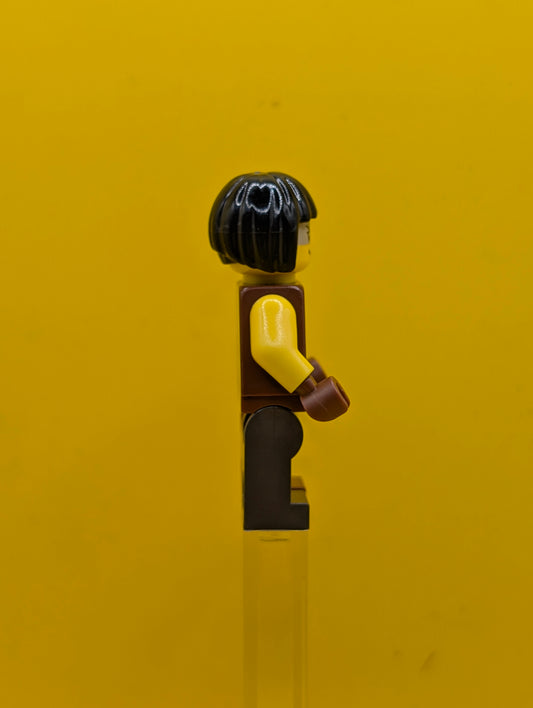 Sharkira tlm170 Hair The Lego Movie Lego Minifigure
