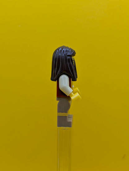Librarian col145 Series 10 (Minifigure Only without Stand and Accessories) Collectable Minifigure Series Lego Minifigure