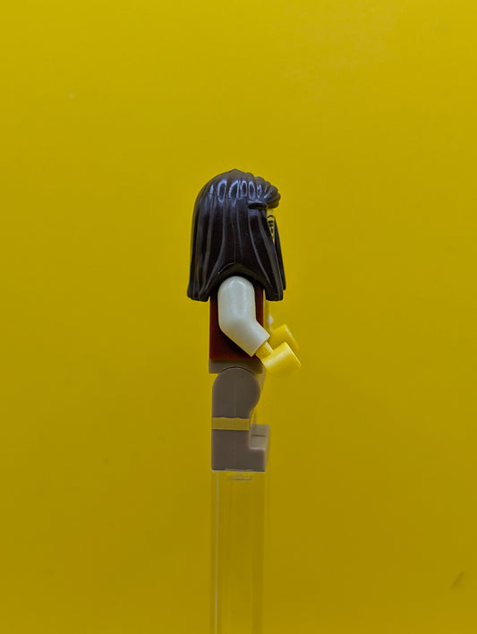 Librarian col145 Series 10 (Minifigure Only without Stand and Accessories) Collectable Minifigure Series Lego Minifigure
