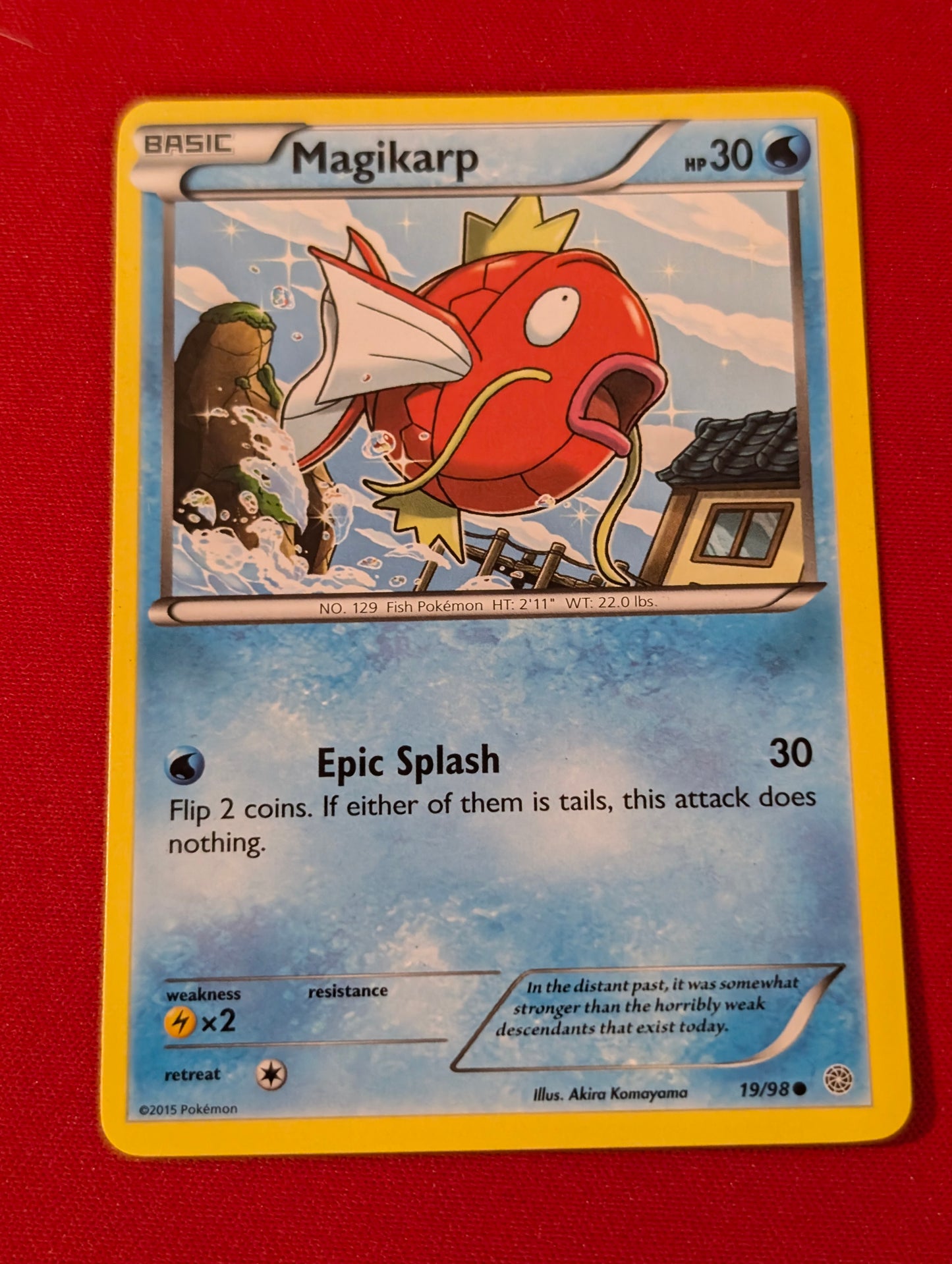 Magikarp #19